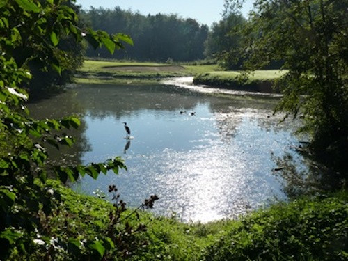 Foto der Anlage: Golfplatz Gut Drechen